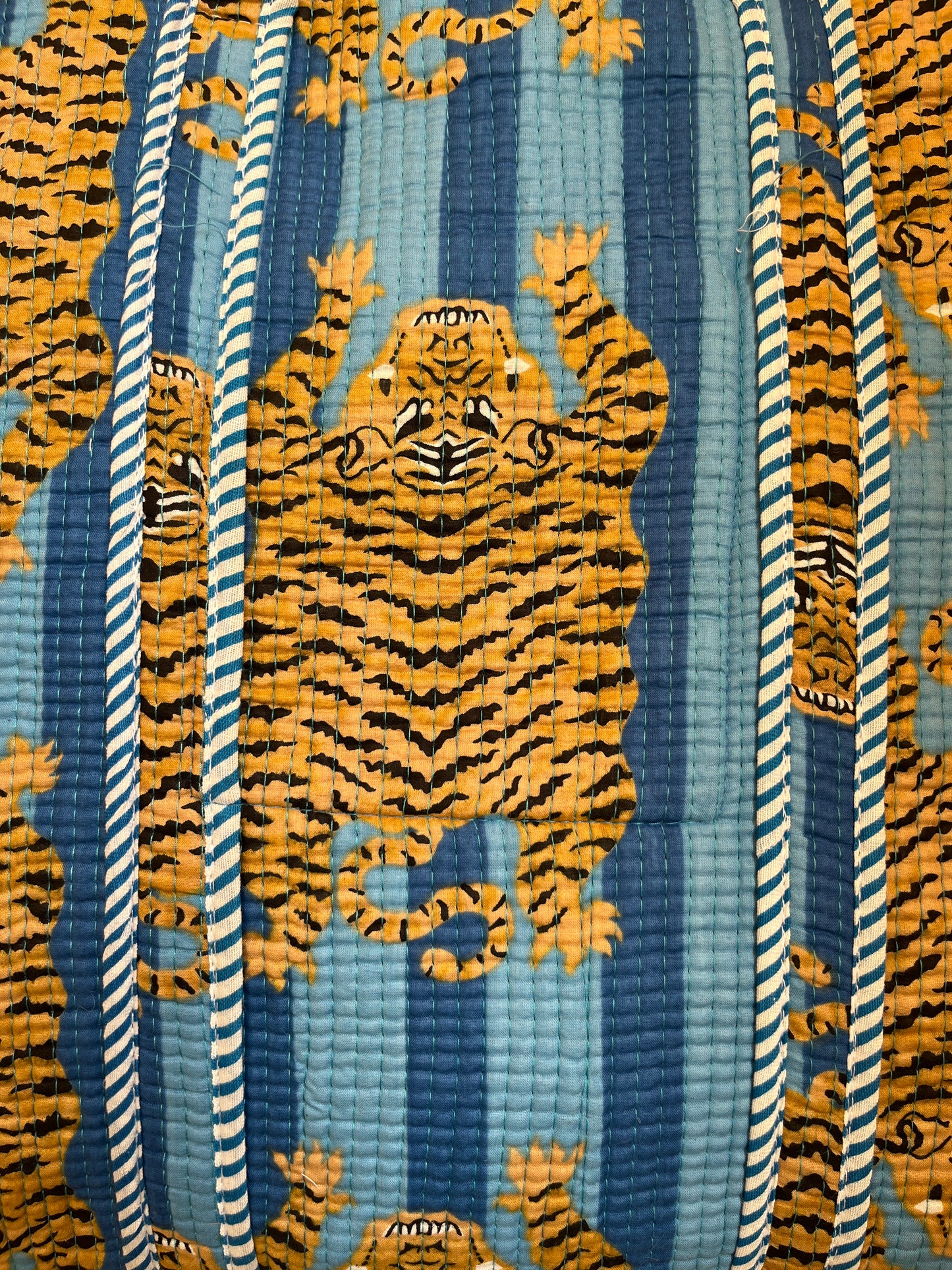 Blue Stripes Tibetan Tiger – Wander Tote Bag 18x18